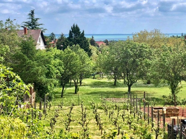 Panorms csaldi hz elad Balatonalmdiban!