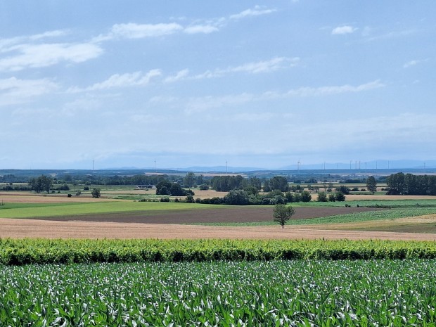 Panorms ptsi telek Fertszentmiklson