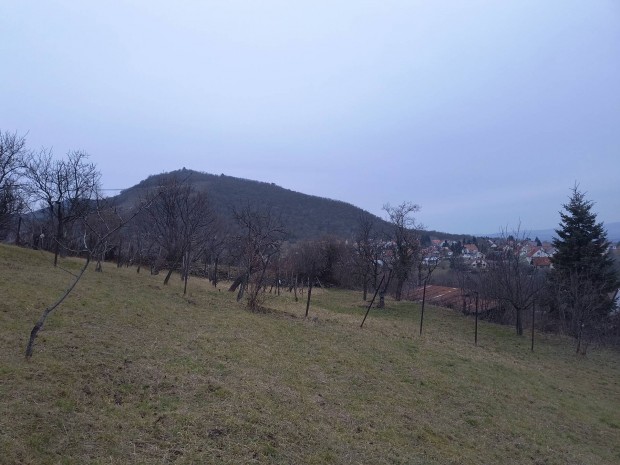 Panor�m�s �sszk�zm�ves �p�t�si  telek S�toralja�jhelyen