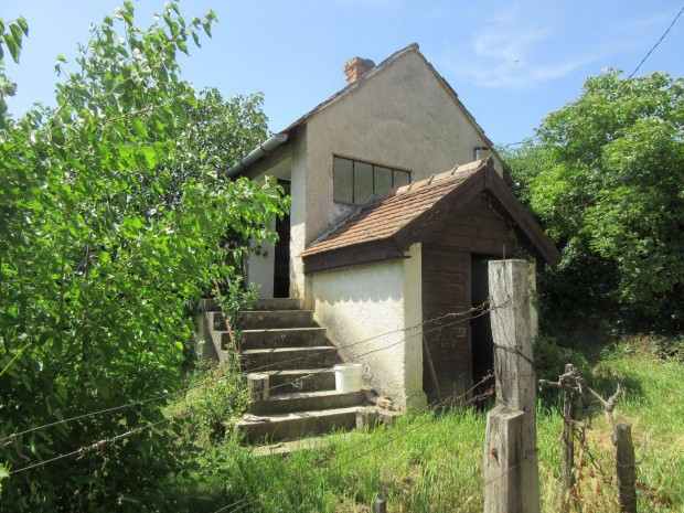 Panorámás szőlőbirtok, pincével