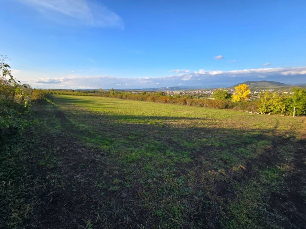 Panor�m�s sz�l�ter�let Kis-galagony�son elad�