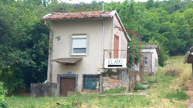 Panorámás tanya vízzel Cinkában, Szekszárd