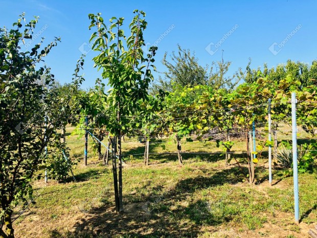 Panor�m�s telek Als�p�hokon