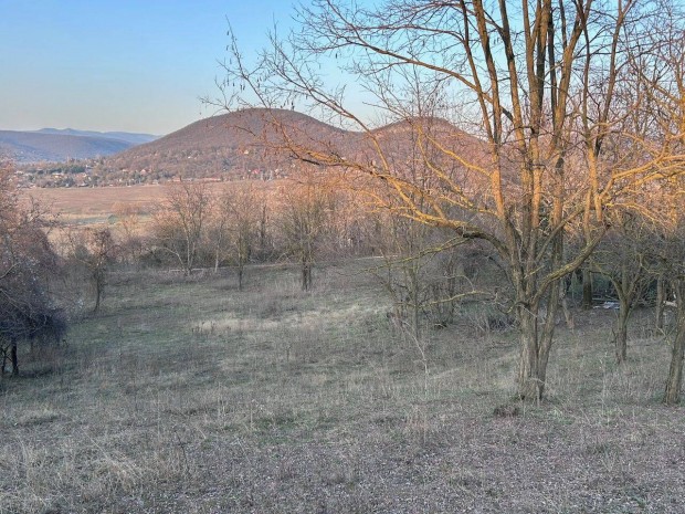 Panor�m�s telek elad� Esztergomban!