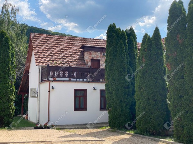 Panzi� a B�kk hegys�g l�b�n�l, a Di�sgy�ri V�r k�zvetlen k�zel�ben!