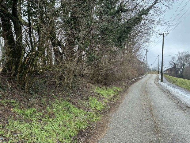 P�pakov�csi nagym�ret� �p�t�si telek elad�!