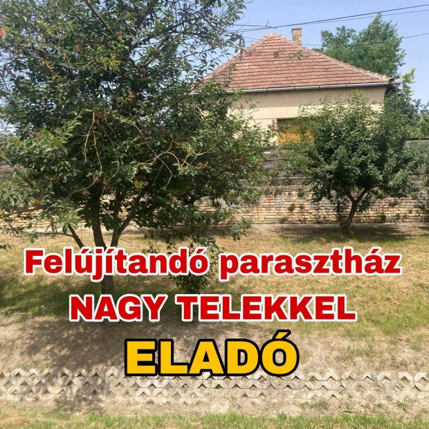 Paraszthz nagy telekkel