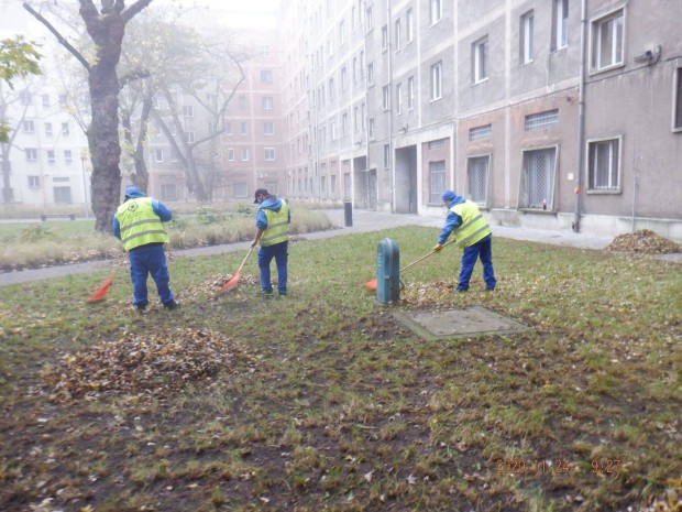 Parkgonok - Kztisztasgi Munkatrsak Jelentkezst Vrjuk!