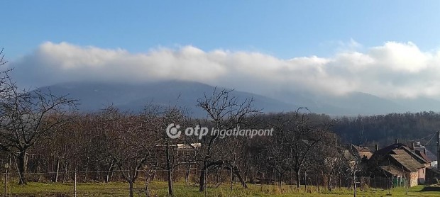 Pásztói 894 nm-es telek eladó