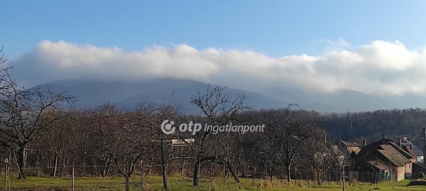 Pásztói eladó 894 nm-es telek