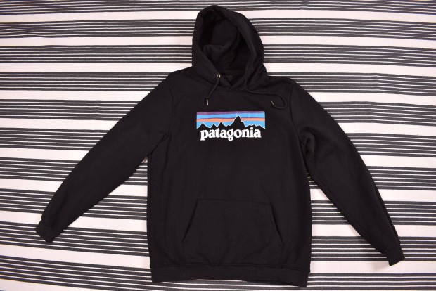 Patagonia pulver 3784