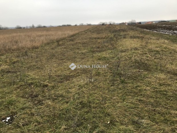 P�tkai elad� 2343 nm-es telek