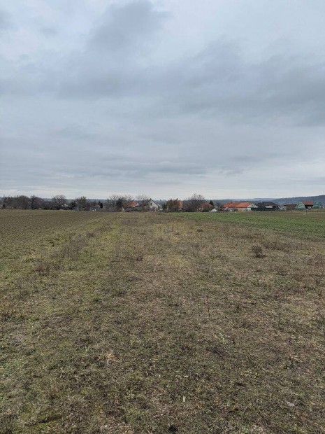 P�tk�n �p�t�si Telek Elad�!!!