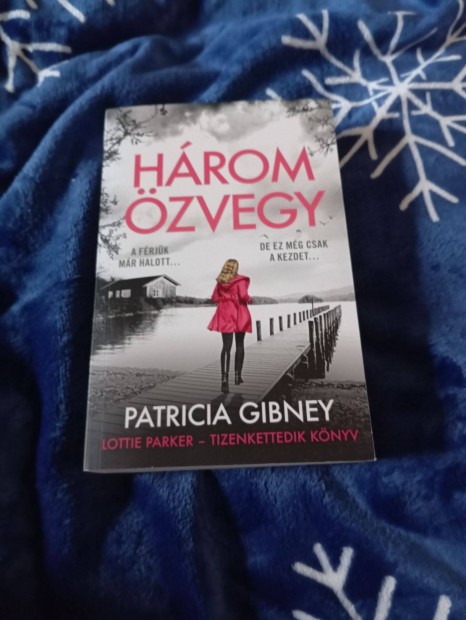 Patricia Gibney: Hrom zvegy (Lottie Parker 12.)