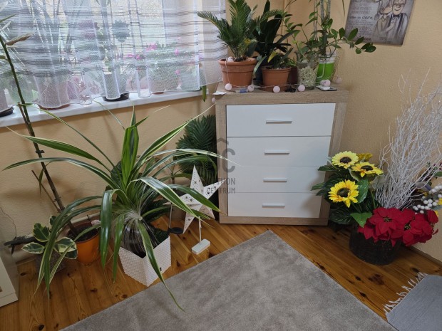 P�celi 4 szob�s �n�ll� csal�di h�z