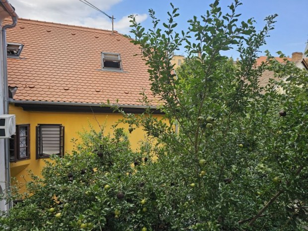 P�cs t�rt�nelmi belv�ros�ban fel�j�tott lak�s kiad�