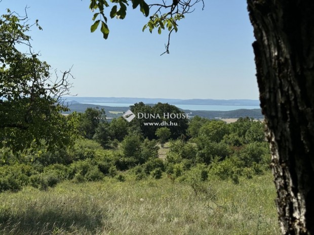 P�cselyi 12522 nm-es telek elad�