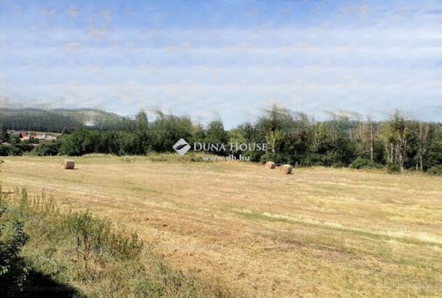 P�cselyi elad� 8507 nm-es telek