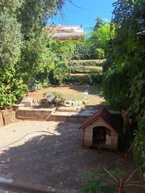 P�csi 230 nm-es lak�s elad�