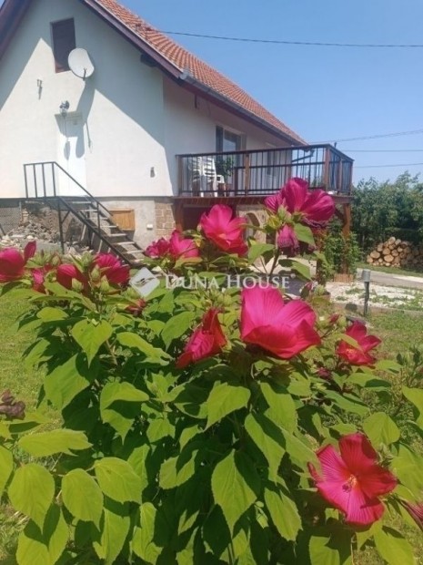 P�csi 62 nm-es h�z elad�