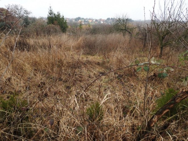 P�csudvardon �p�t�si telek elad�!.