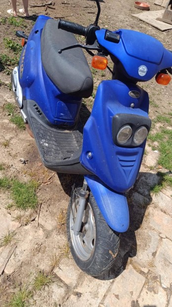 Pegasus motor