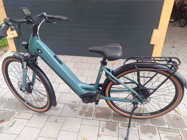 Pegasus ni trekking ebike j