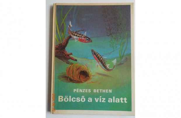 Pnzes Bethen: Blcs a vz alatt