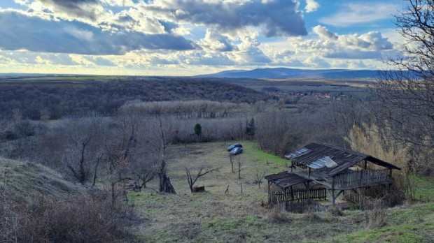 Pereked mellett hangulatos telek elad�