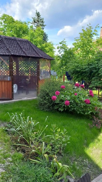 Pergola, kerti kiülő, pavilon, szaletli, filagória, gazebo