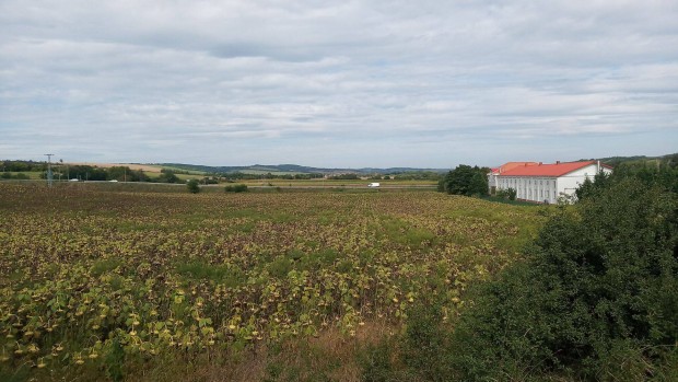 Pest megye BAG fejlesztsi terlet, 2 hektr