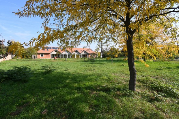 P�tf�rd�i elad� �j �p�t�s� t�gla csal�di h�z