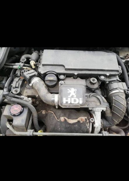 Peugeot 206 1.4 HDI motor 8hx 