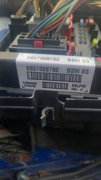 Peugeot 206 2.0 hdi Bsm B3 9657608780