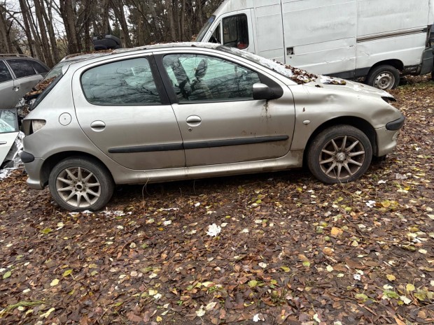 Peugeot 206 ablakmos tartly