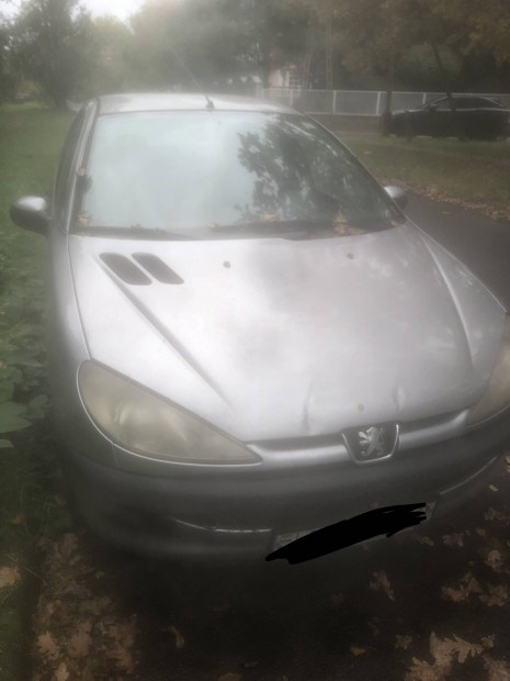 Peugeot 206 bonts