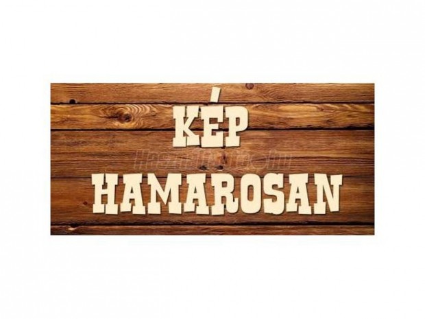 Peugeot 207 csomagtérajtó központi zár,