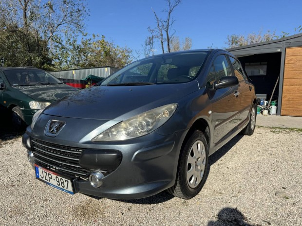 Peugeot 307 1.4 Symbole