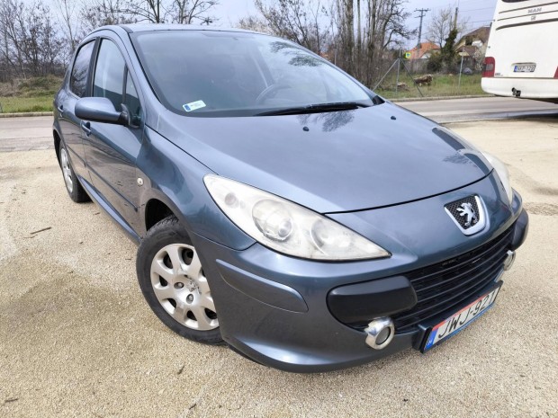 Peugeot 307 1.6 Symbole
