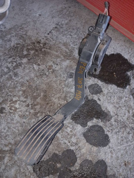 Peugeot 307 Elektromos G�zped�l