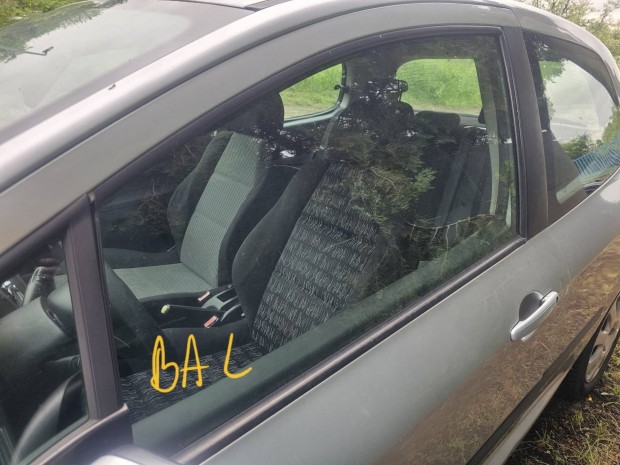 Peugeot 307 ajtó üveg 8000