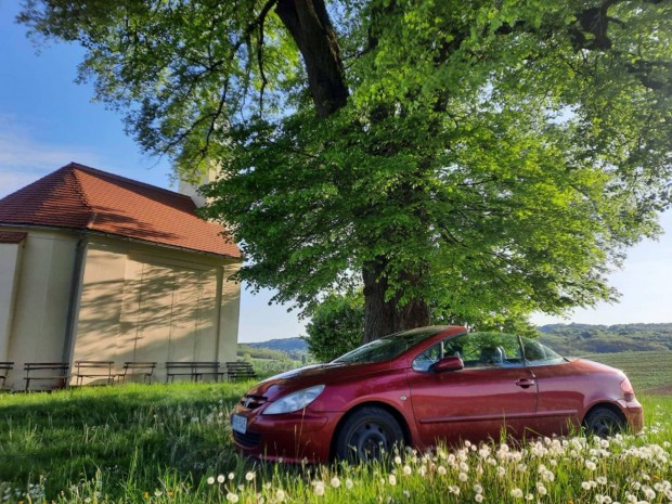 Peugeot 307 cc cabrio