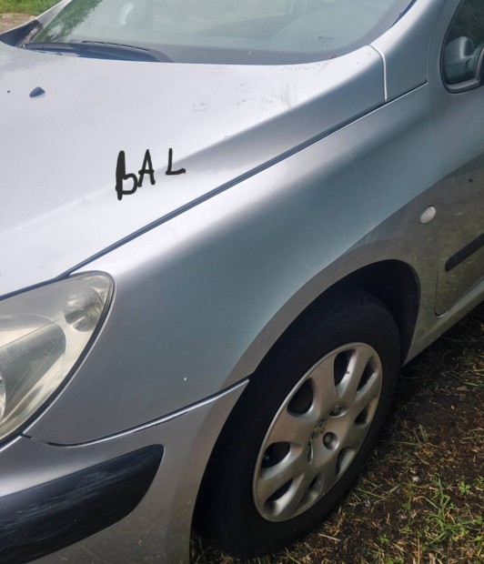 Peugeot 307 első sárvédő 10000