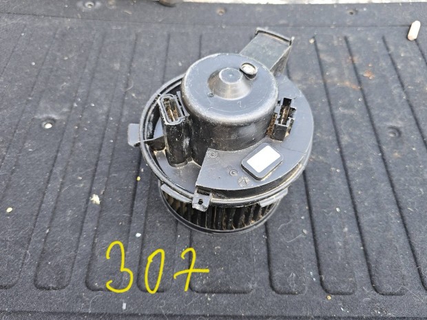 Peugeot 307 fts ftmotor 7000
