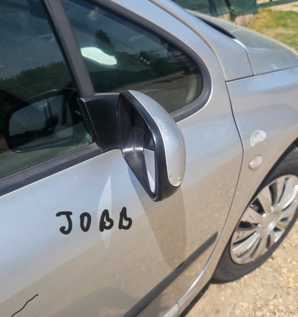 Peugeot 307 visszapillantó tükör 8000