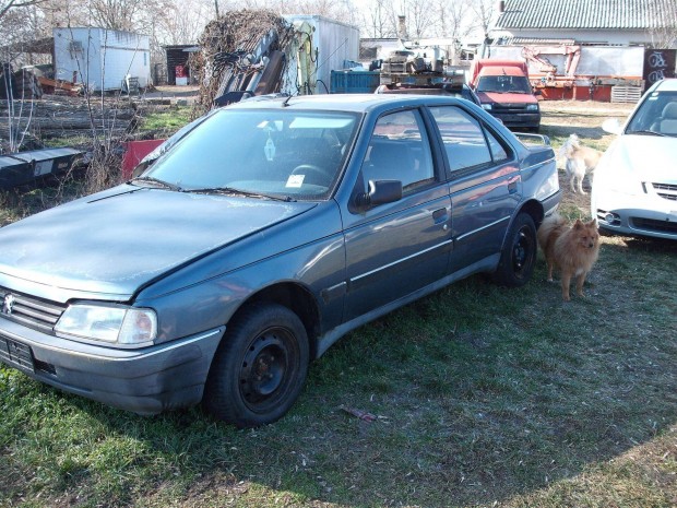 Peugeot 405 1.9d