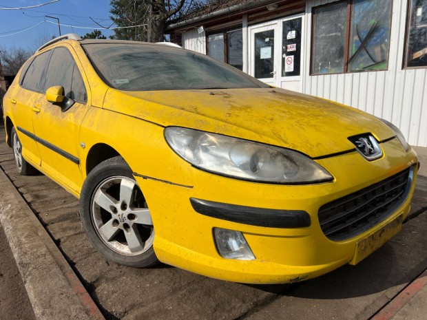 Peugeot 407SW (2007) 1.6HDI 9HZ Alkatr�szek #M3669