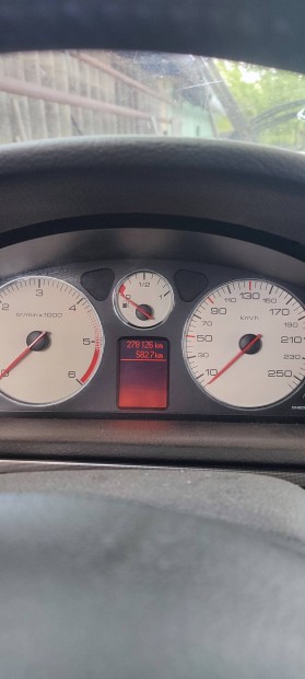 Peugeot 407sw