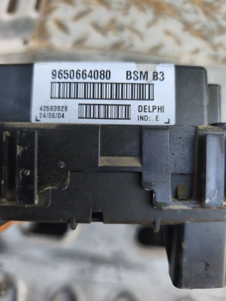 Peugeot Citroen BSM 3 9650664080