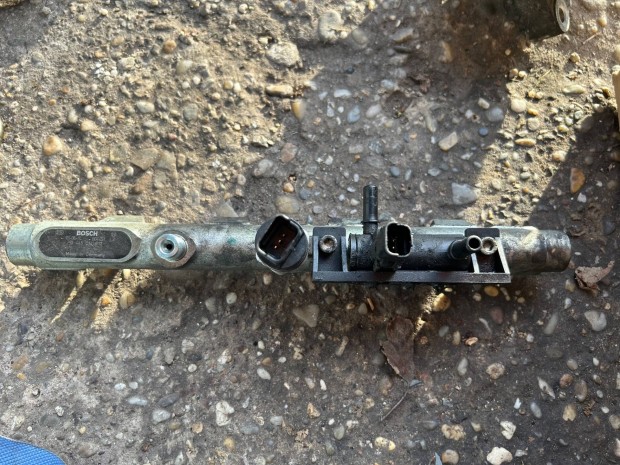 Peugeot Citroen Rail cs 0445214017 Bosch